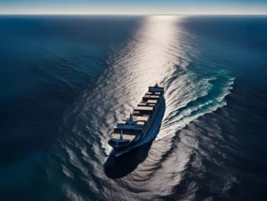 image of Maritime Surveillance