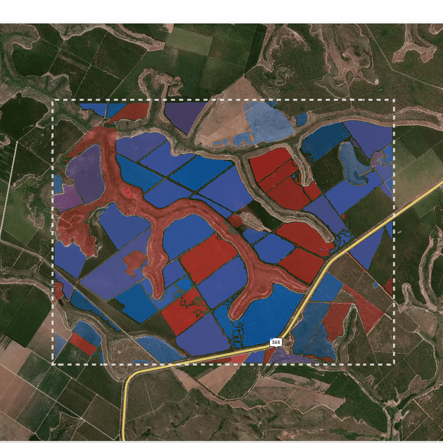 Sustainable Forestry in Brazil