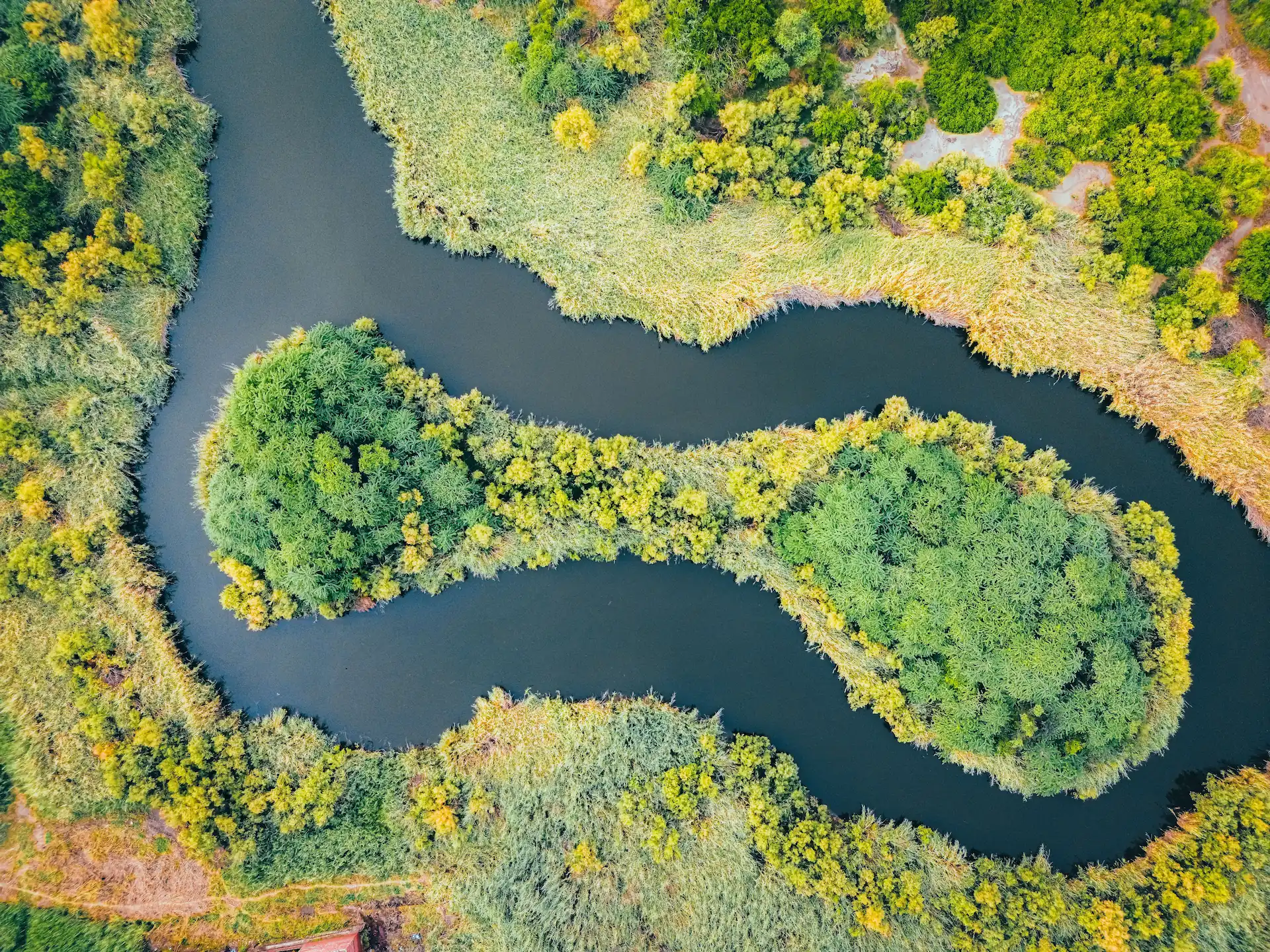 Aerial view of diverse ecosystems