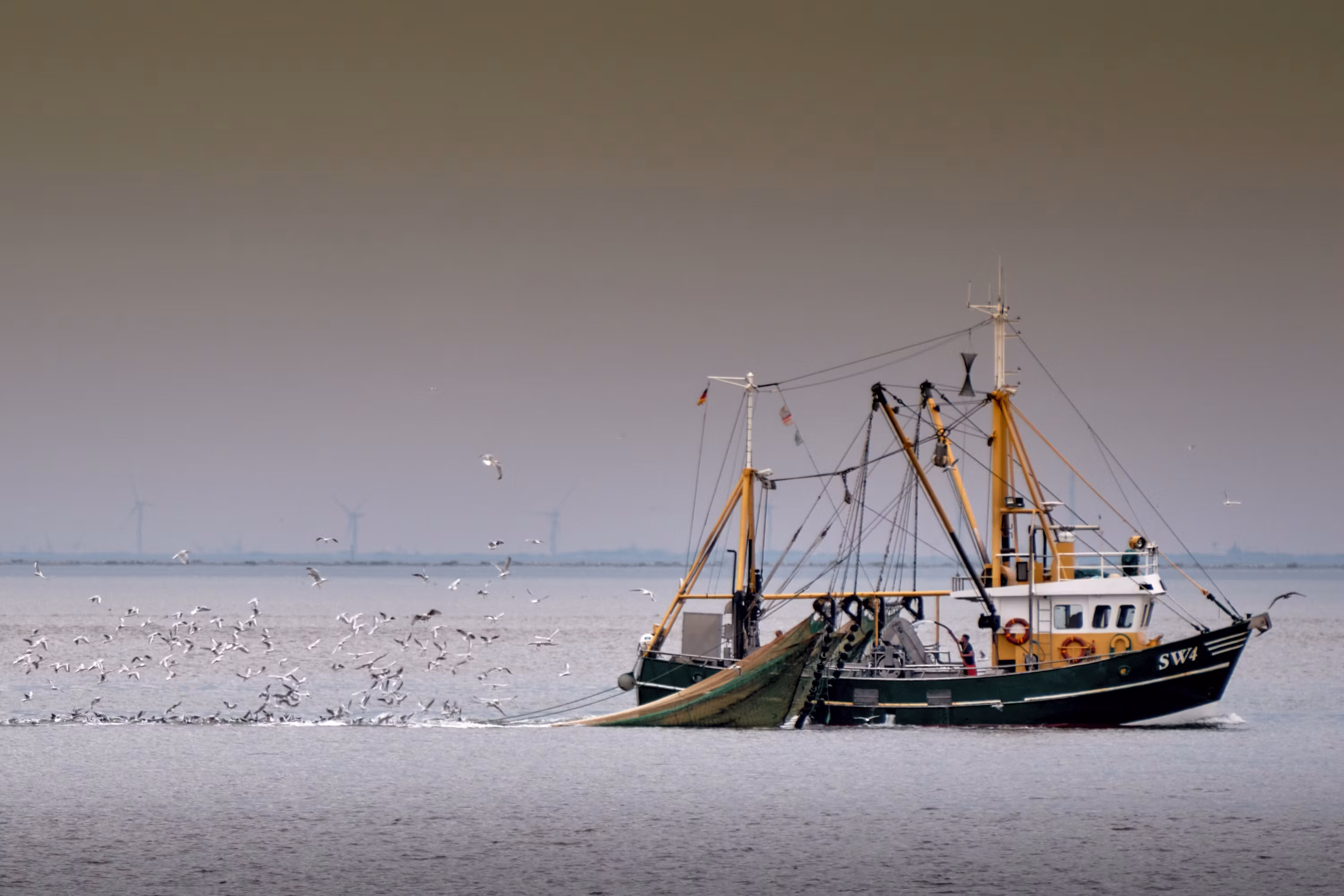 Aerial view of fisheries