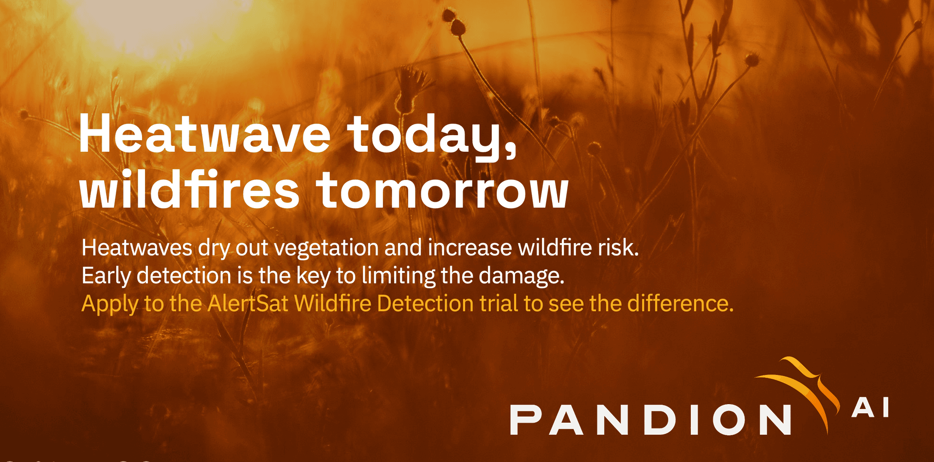 Why heatwaves can turn into wildfire season